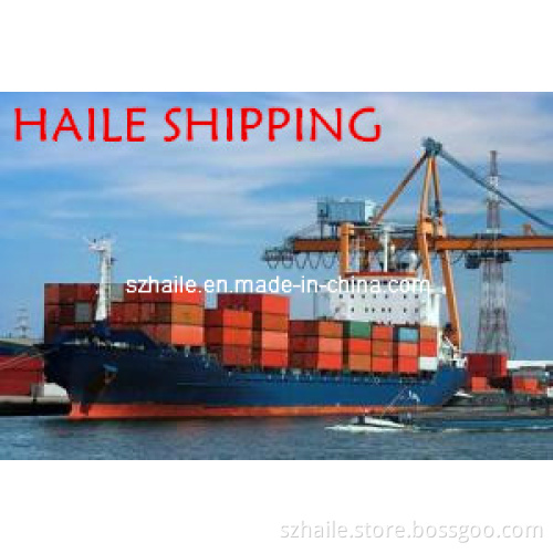 LCL Sea Freight From Guangzhou to Mombasa